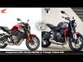 Comparison 2021 Honda CB650R vs Triumph Trident 660 |TM