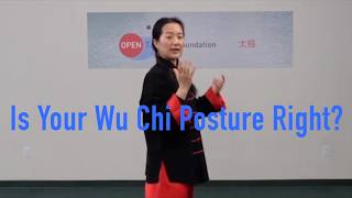 Starting Tai Chi The Right Way Wu Chi Posture Explained 太极拳无极势身型要领