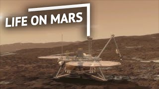 Might Mars Harbor Life?