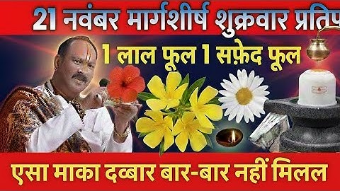 21 नवंबर मार्कशीट शुक्रवार एक लाल पुष्प एक सफेदपुष्प का उपाय जरूर करें ll #panditpradeepmishra #upay