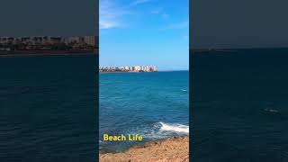 Playa Flamenca - Beach