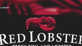 What's Trending: Red Lobster files for bankruptcy