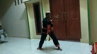 Guru besar padepokan silat naga terbang turun dengan memperagakan jurus yang luar biasa