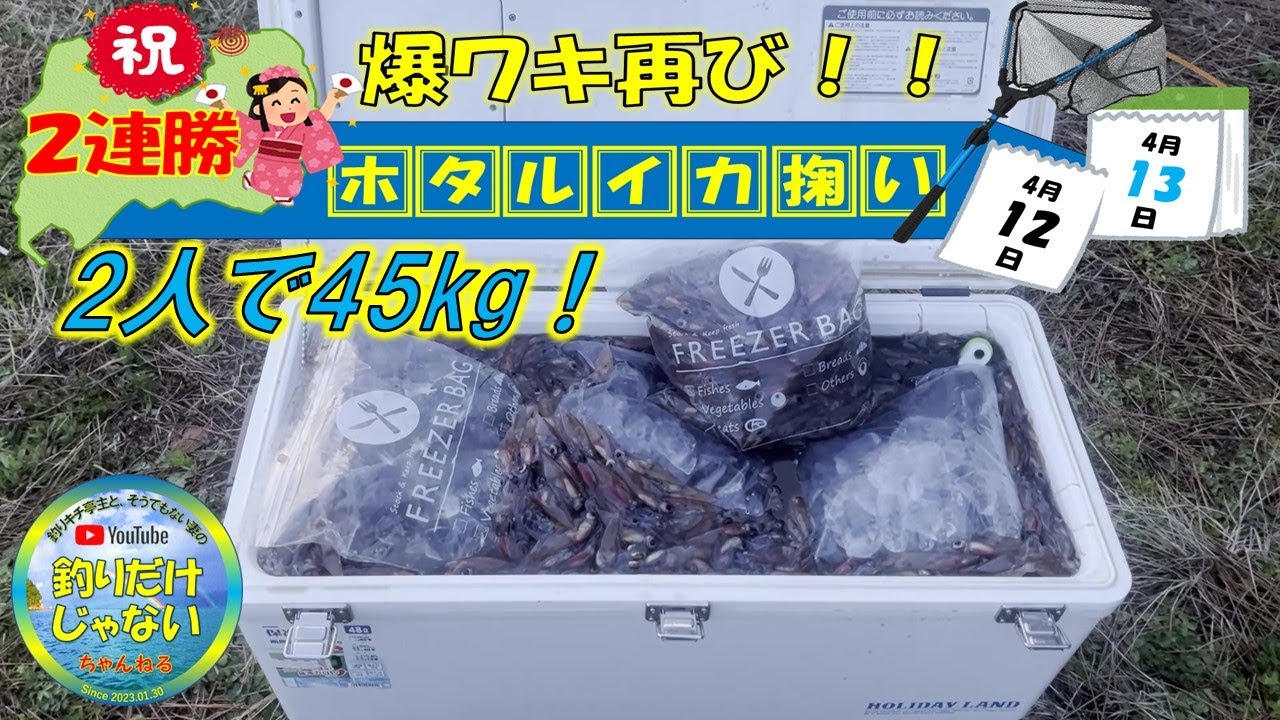 【爆ワキ再び！】限られた狭い範囲で強烈に湧いた一部始終。２人で45kg！【2024年4月12日〜13日未明のホタルイカ掬い】入善（前回と同じ爆湧きポイント）