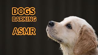 DOGS BARKING ASMR