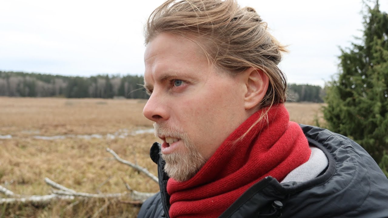 Счастье, Карма, Божественная Милость