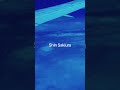 Shin Sakiura x brb.『WILD CHILD』OUT NOW! #shorts