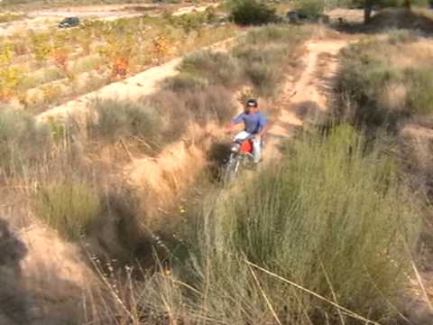 Vascoveiro,Cancros da estrada 11-09-2011 (9).VOB