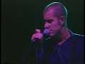 1993 Floodfest (Full Set)