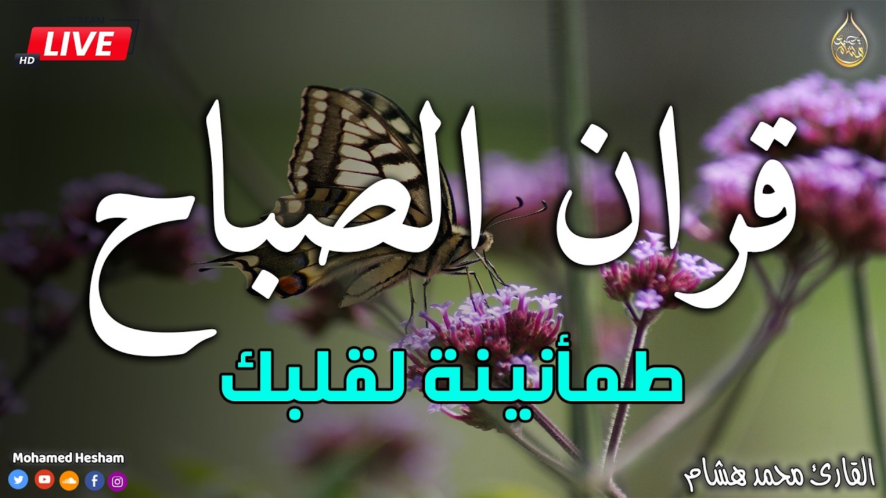 قرآن الصباح في رمضان قبل الإفطار🌛😍 سورة البقره قران كريم بصوت جميل😌Ramadan Quran Surat Al-Baqarah