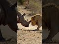 Tap, Don’t Attack
