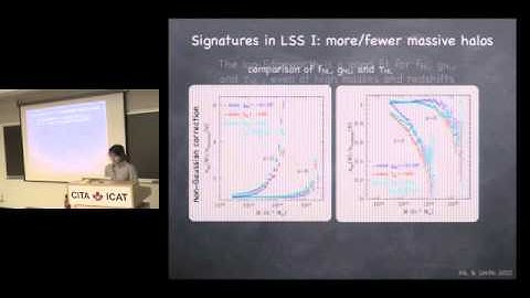 CITA 376: Primordial Non-Gaussianity in Large-scale Structure