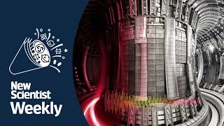 Record-breaking fusion experiments bring clean energy closer | New Scientist Weekly podcast 236