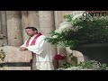 Nuestra Señora de la Cristiandad España. Homilía de cierre (vídeo). P. Javier Olivera Ravasi