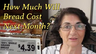 The Cost Of Bread Today - How Much Will Bread Cost Next Month?