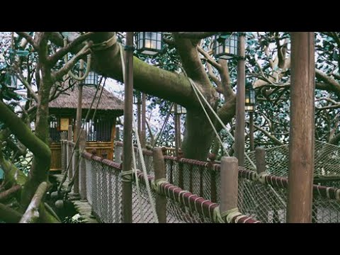 Swiss Family Robinson Treehouse Full Tour at Disneyland Paris (Nov 2023 ...