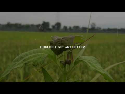 Angel Baby Story Wa terbaru