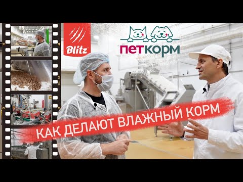 Эксклюзив! Как делают влажный корм для кошек и собак Blitz | Обзор завода ПетКорм