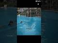 #xuhuongyoutube #swimming #swimmin #gáixinh #swim #gril #xuhuongtiktok #vinhomes #viral #dayboi #lan