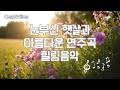 눈부신 햇살과 아름다운 연주곡 #relaxingmusic #healingmusic #playlist
