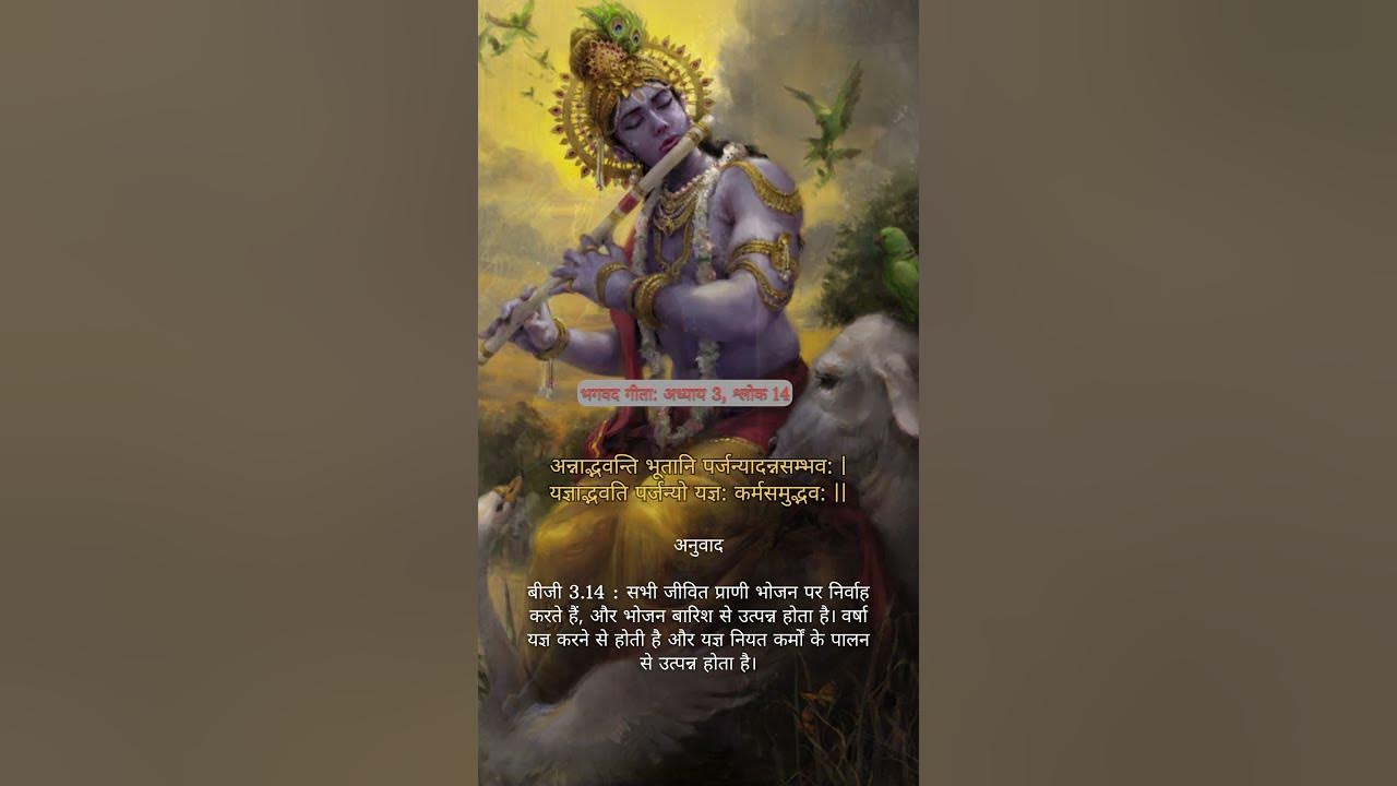 bhagavad-gita-chapter-3-verse-14-bhagavadgita-krishna-bhakti