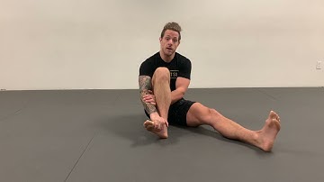 Tibial Rotation Isometrics (PAILs/RAILs)