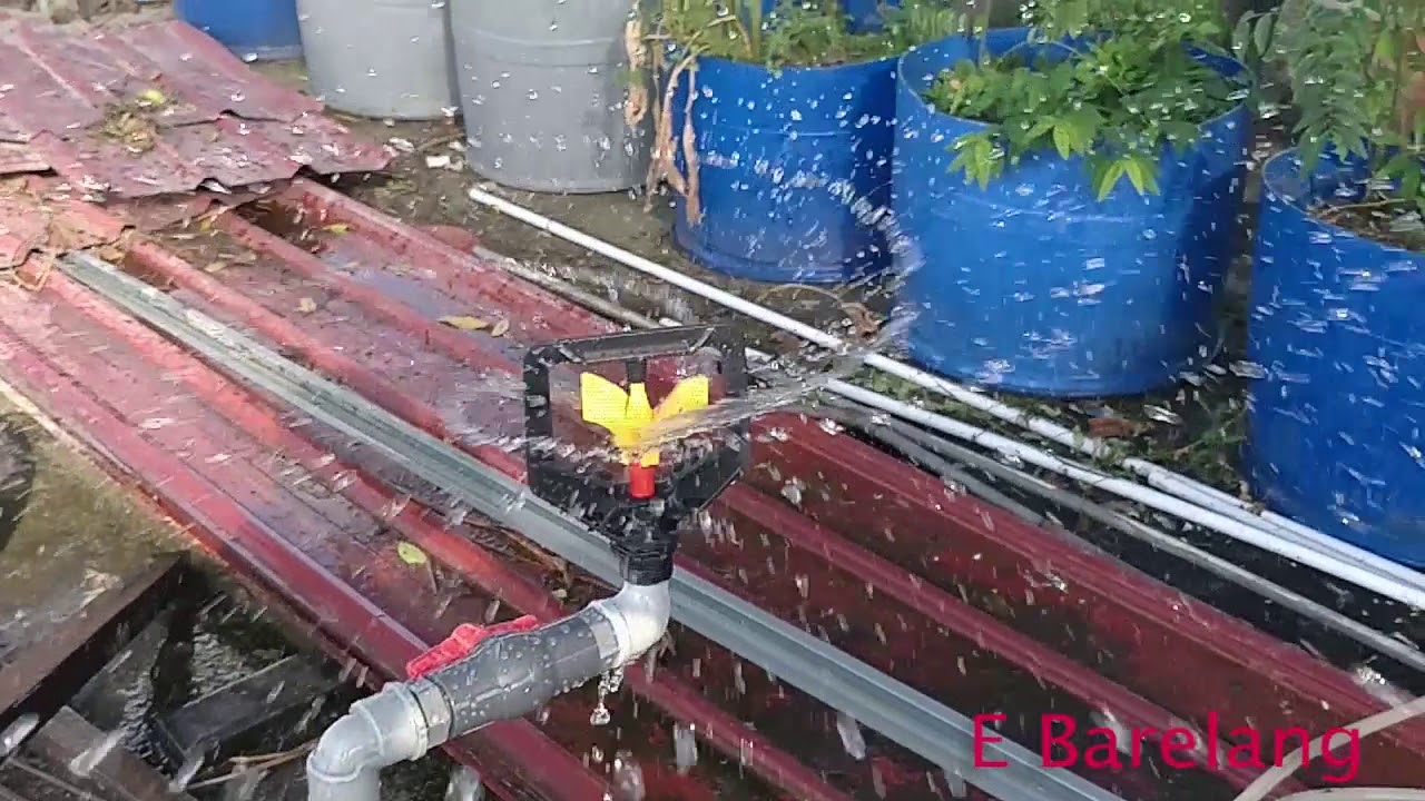 Sprinkler Kupu - Kupu 3 Daun