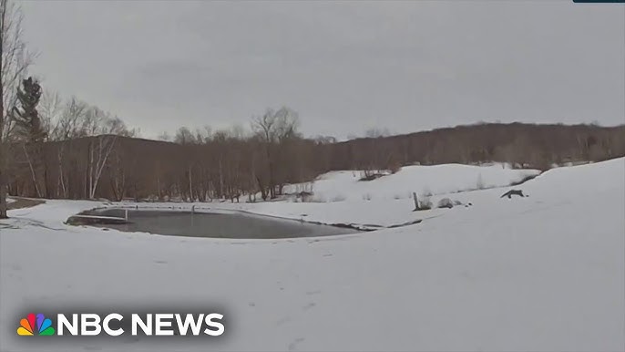 Video Shows Vermont State Troopers Rescue A Child From Frozen Pond