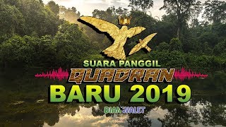 BARU!!! Suara Panggil Walet SP QUADRAN