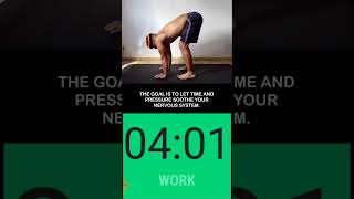 Grounding Plank Beginner Progression #mobility #plank #functionalstrength #fitness #shorts #posture