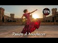 Pasión Al Anochecer Flamenco Eurodisco Of Desire Midnight Romance 
