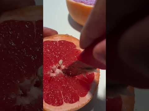 Videó: Grapefruit betakarítási idő – Információk arról, hogyan és mikor válasszunk grapefruitot