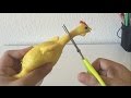 Cutting Open The Chicken Water Squishy Squeeze Toy 