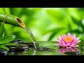 Beautiful Relaxing Music for Meditation and Peace – Nature Sounds for Deep Sleep Healing