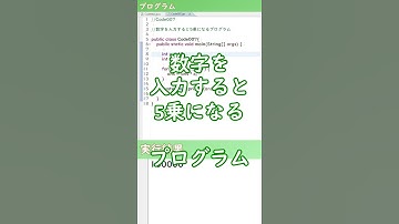数字を入力すると5乗になるプログラム ※コメントにコード載せてます！【プログラミング/Java】