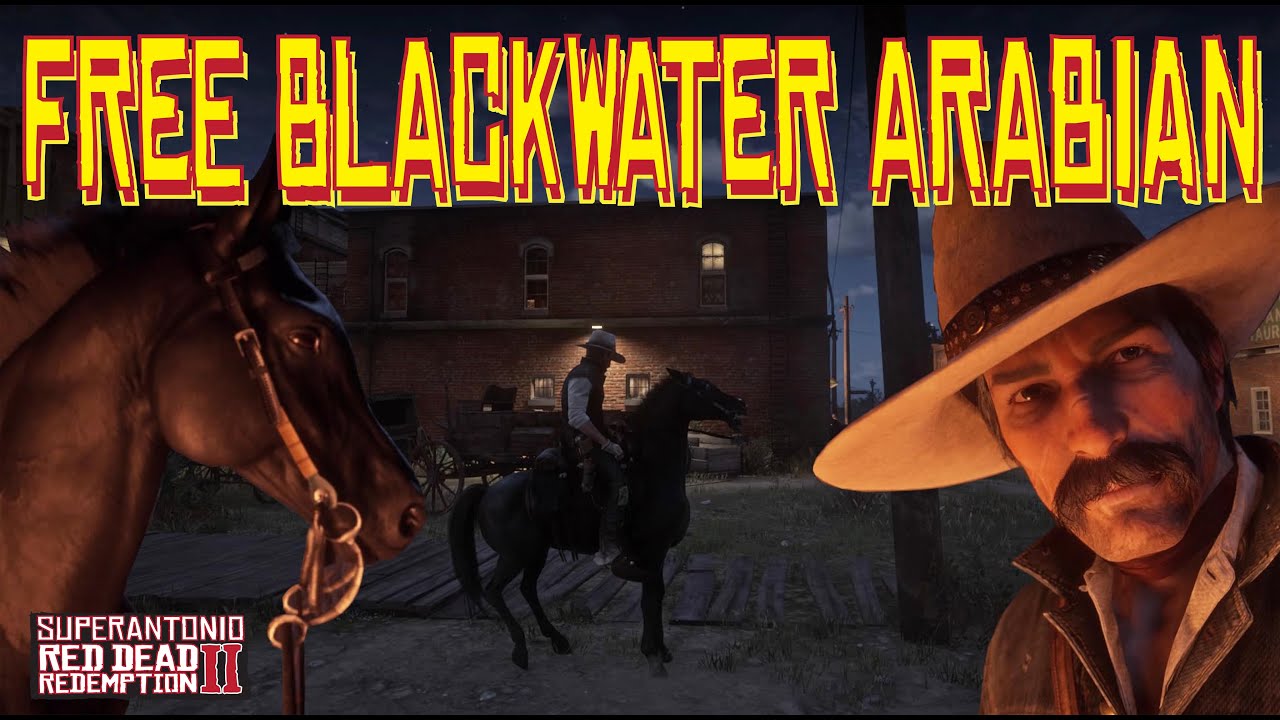 There is A Free Black Arabian in Blackwater, in Red Dead Redemption 2