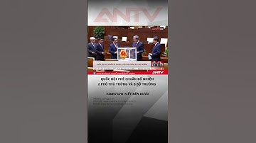 Quốc hội phê chuẩn bổ nhiệm 2 Phó Thủ tướng và 3 Bộ trưởng #antv #shorts #quochoi