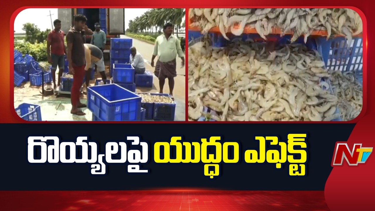 Iran-Israel war Impacts AP Aqua Farmers : రొయ్యల రైతులపై పిడుగులా ఇజ్రాయిల్, ఇరాన్ యుద్ధం | NTV