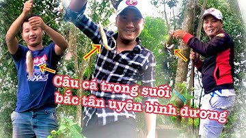 Câu cá đồng trong suối mương ruộng trên bắc tân uyên Bình Dương ✔️