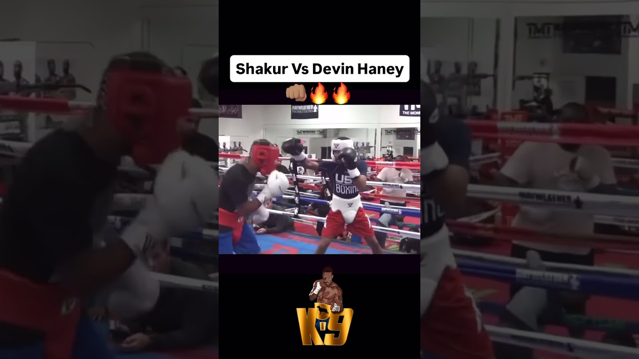 Шакур Стивенсон и Девин Хейни спарринг 🔥
