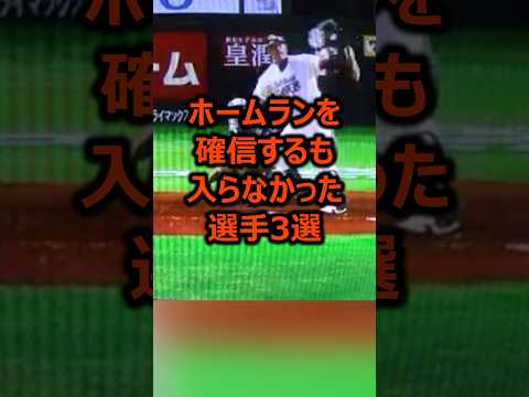 ホームランを確信するも入らなかった選手3選 プロ野球 ホームラン 野球