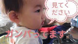 【ホントに】１歳半のかわいい気合い