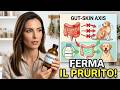 Cane che si gratta le orecchie e la pelle? Rimedi per la Dermatite Atopica