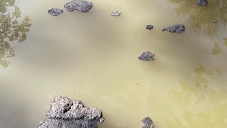 Over 3M gallons of wastewater spilled in Palm Bay sewer main break, city says