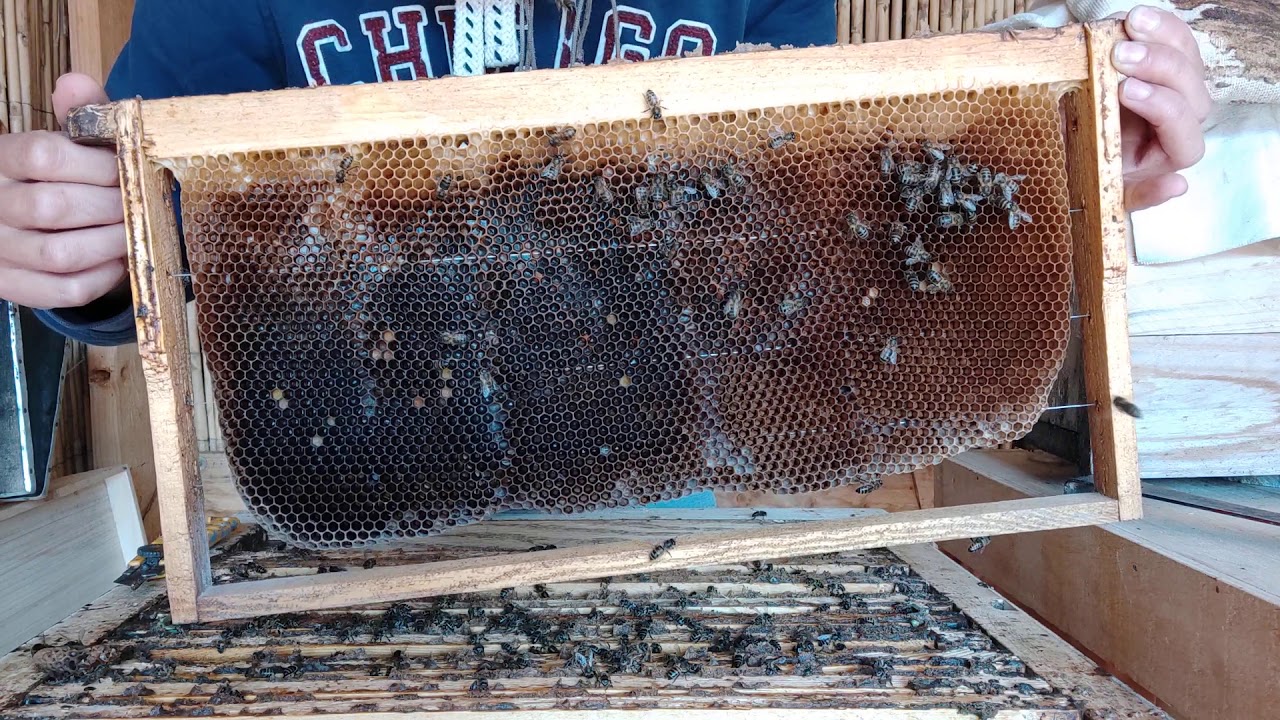 التقسيم الطبيعي على نظام أبو سلمان الجزء الأول