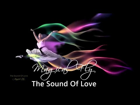 MAGICAL FLY -