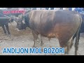 ANDIJON XOJABOD MOL BOZORI NARXLARI BILAN TANISHING