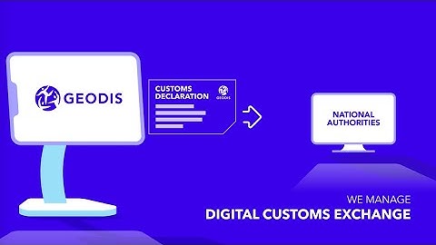 GEODIS Customs Solution