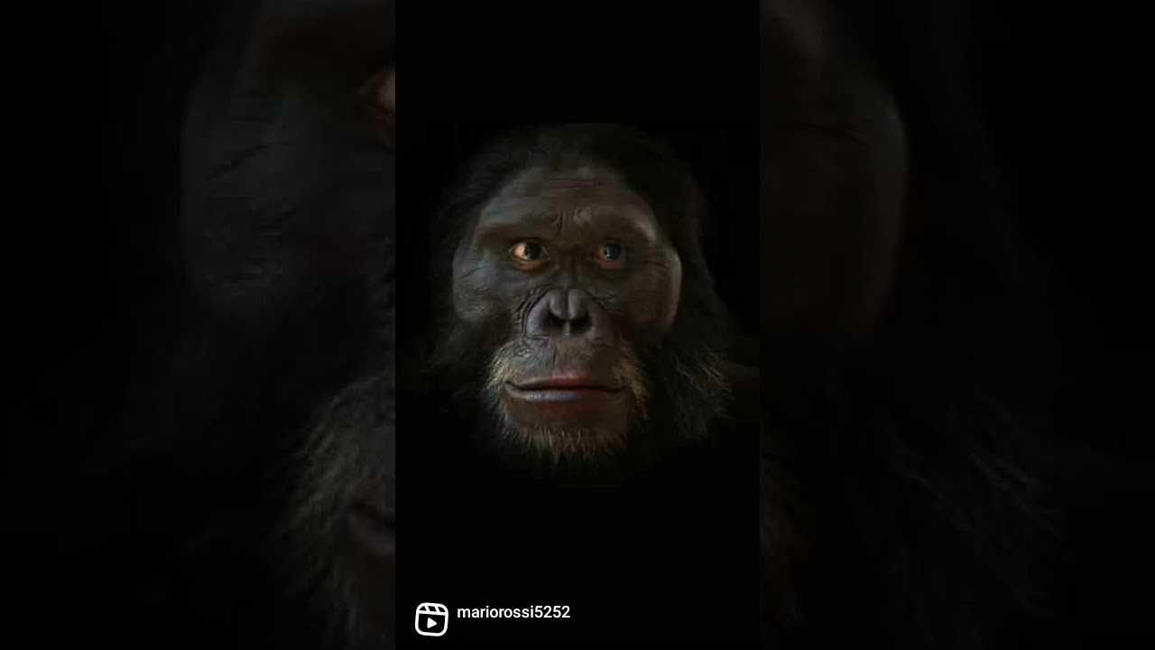 sembari , among us ,evolution