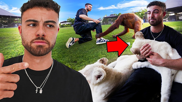 pov: ATACADO por Animais do ZOO PRIVADO